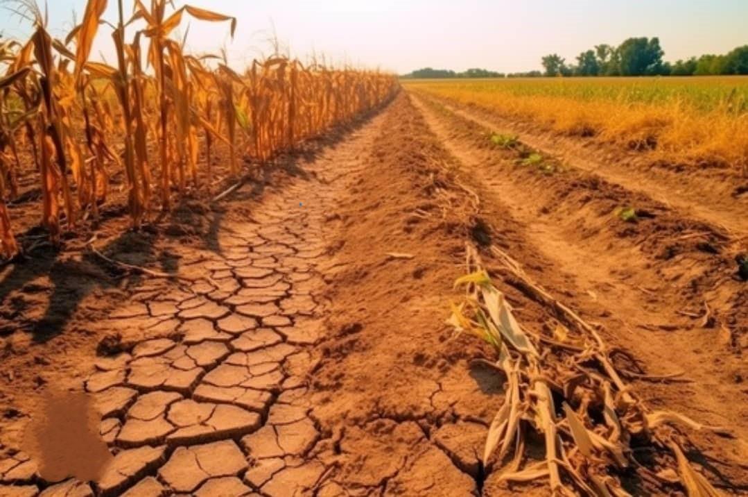 Over USD 2 Billion Required for Drought Relief as Zimbabwe Declares the 2023-2024 El-Nino Induced Drought a National Disaster