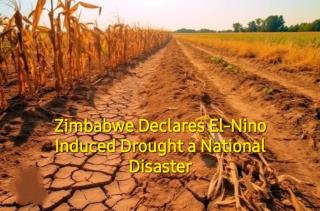 Zimbabwe Declares 2023-2024 El-Nino Induced Drought a National Disaster