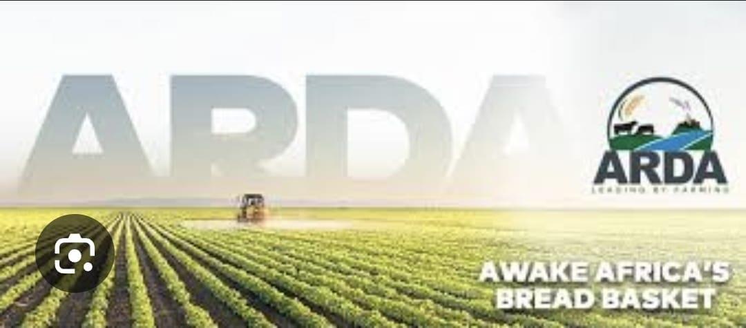 ARDA and CICADA Joint Venture Restores Productivity at Katiyo Tea Estate